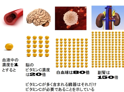 画像の説明 画像の説明