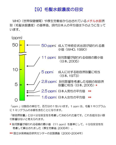 画像の説明 画像の説明