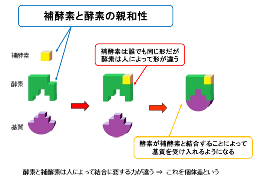 画像の説明